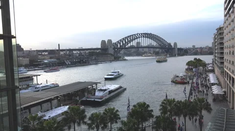 Sydney Harbour elevated view from Circular Quay Video stock 52777123