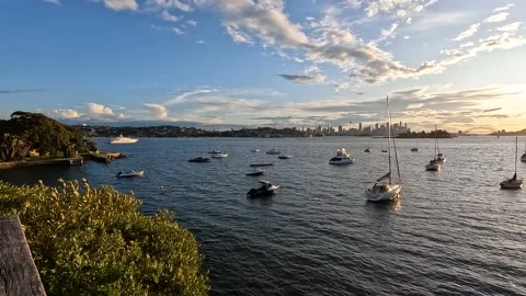 Sydney Harbour Stock Footage 204919715
