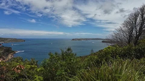 Sydney Harbour Stock Footage 298214260