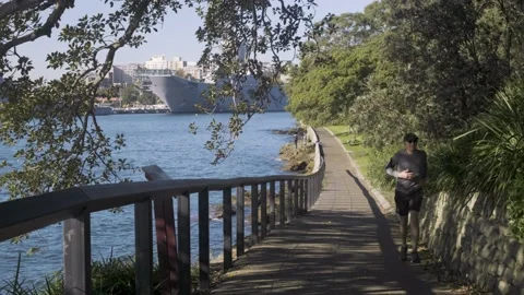 Sydney Harbour Jogger Video stock 152865900