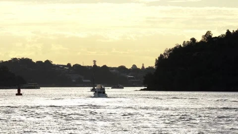 Sydney Harbour Sunset, Reflective waters, City lights, Seaside charm Stock Footage 274476619