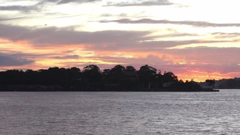 Sydney Harbour Sunset, Reflective waters, City lights, Seaside charm Stock Footage 274481611