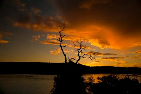 Sydney Lilli Pilli Sunset Stock Photos