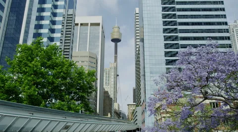 Sydney Monorail 動画素材 44799243
