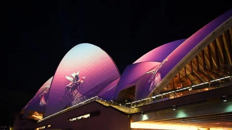 Sydney Opera House sails and side stairs from low angle lit up at night Stock Footage 128400945