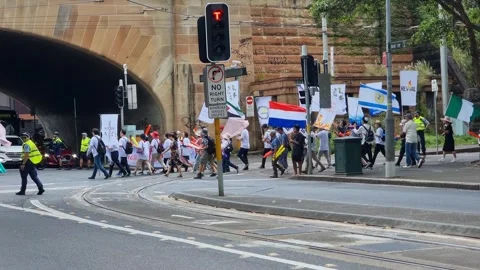 Sydney protesters peaceful equality protesters nsw police riot squad Stock Footage 242349011