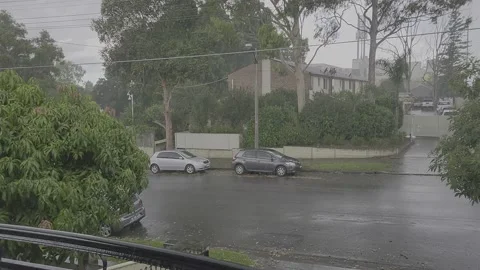 Sydney raining on the street Video stock 168338483