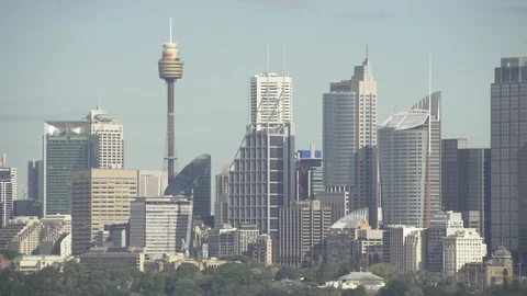 Sydney skyline CBD from  a distance Stock Footage 104795148