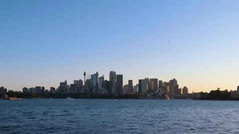 Sydney Skyline Stock Footage 81459257