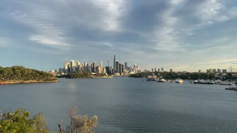 Sydney Skyline Stock Footage 145582965