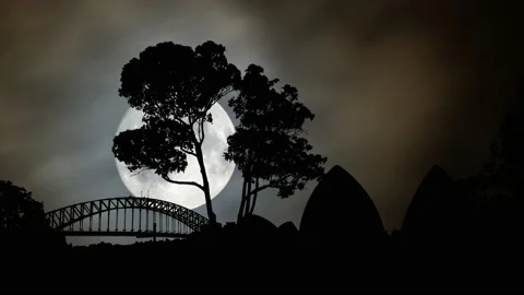 Sydney Skyline by Night: Time Lapse with Full Moon and Clouds, Australia Stock Footage 145963915