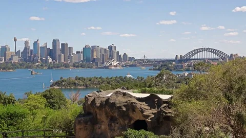 Sydney skyline, opera house, harbor bridge from Taronga zoo, Sydney Stock Footage 80926997