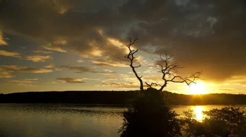 Sydney Sunset Timelapse Video stock 11755491