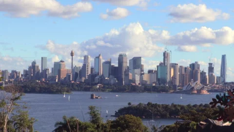 Sydney from Taronga Time-Lapse Stock Footage 308902076