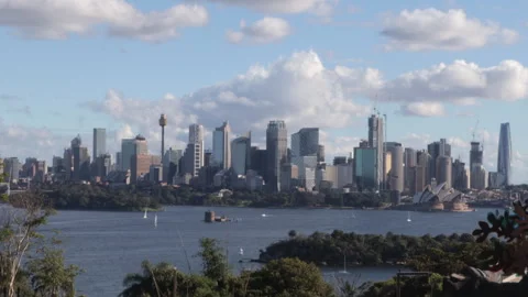 Sydney from Taronga Time-Lapse Stock Footage 309253340