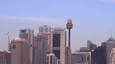 Sydney tower in city 库存影片 39843097