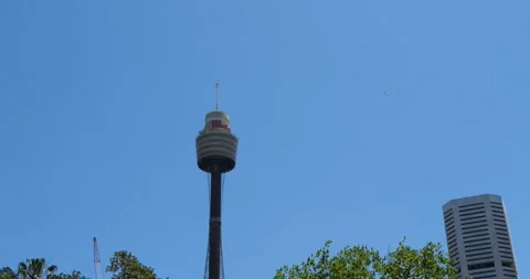 Sydney Tower Eye or Westfield Tower, is the tallest structure in Sydney, New Video stock 335997008