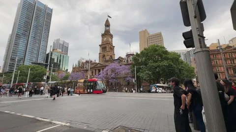 Sydney Town Hall Stock Footage 325853350