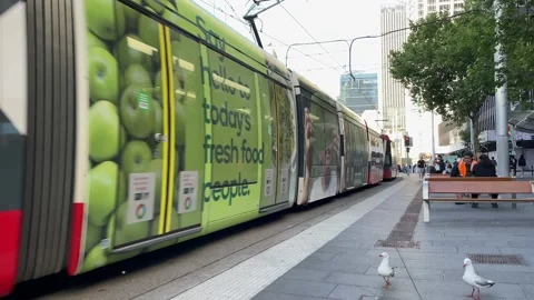 Sydney Tram Video stock 166894253