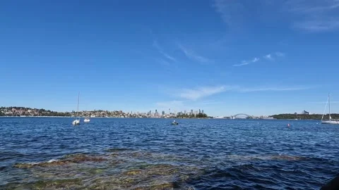 Sydney view Video stock 220801535
