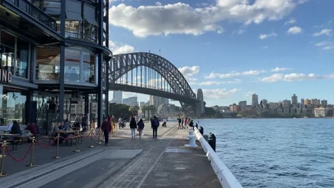Sydney’s Harbour Bridge with people in foreground and birds flying Stock Footage