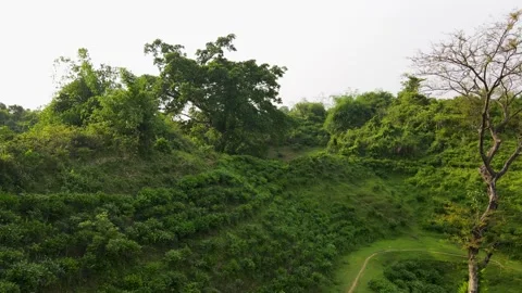 Sylhet lush greenery tea gardens aerial view descending over terraced hill path Stock Footage 346465346