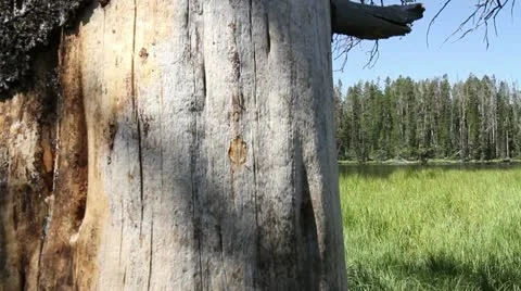 Sylvan Lake Reveal Stock Footage 22795352