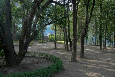 Sylvan Surrounding Stock Photos