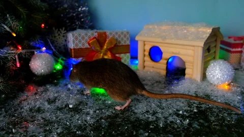 Symbol of 2020 Stock Footage 118088800