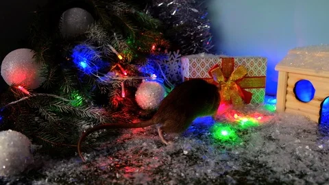 Symbol of 2020 Stock Footage 118089337