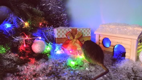 Symbol of 2020 Stock Footage 118089372