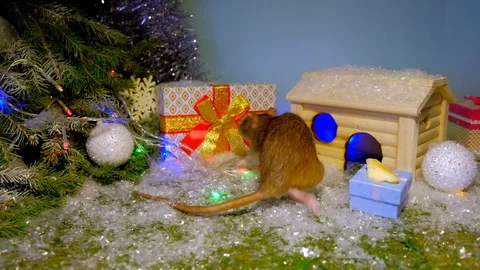 Symbol of 2020 Stock Footage 118089479