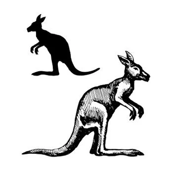 Symbol of Australia Stock Illustration