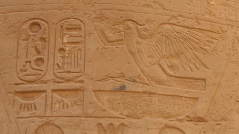 Symbol of a Bird on the Wall Stock Footage 128122910