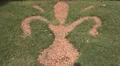 The symbol of Florence, Italy HD Footage