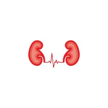 The Symbol Kidney Design Vectors Template Stock Illustration