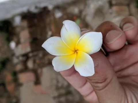 The symbol of Laos Stock Photos