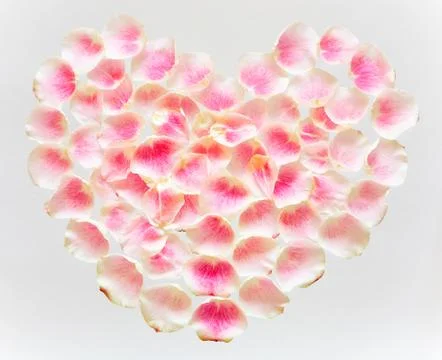 The symbol of love is the heart, lined with tender rose petals. Stock Photos