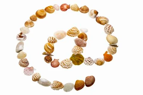 At symbol made from shells Stock Photos