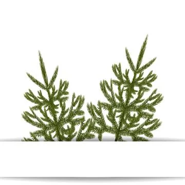 Symbol of the New Year. An image of two green fir trees without a mesh and a  Stock Illustration