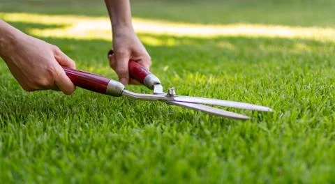 Symbol for perfection. A worker is using a hedge trimmer to cut the grass. Stock Photos