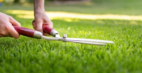 Symbol for perfection. A worker is using a hedge trimmer to cut the grass. Stock Photos