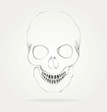 The symbol of the skull Stock Illustration
