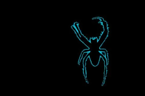 Symbol of a spider with blue border Stock Illustration