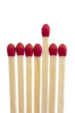 Symbolic selection process with a row of matches, against a white background Stock Photos