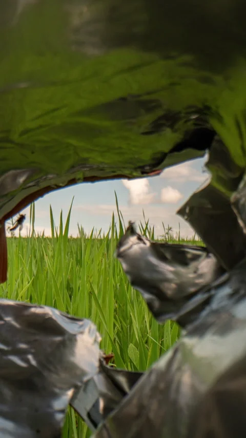 Symbolic shot of moving from inside plastic waste to a natural green Stock Footage 335310900