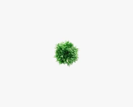 Symbols made of grass Stock Illustration