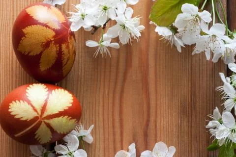 Symbols of spring - Easter eggs dyed with onion peels and cherry blossoms o.. Stock Photos