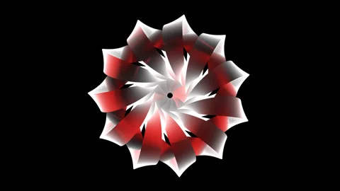 Symmetric geometry rotation star motion graphic Stock Footage 243448973