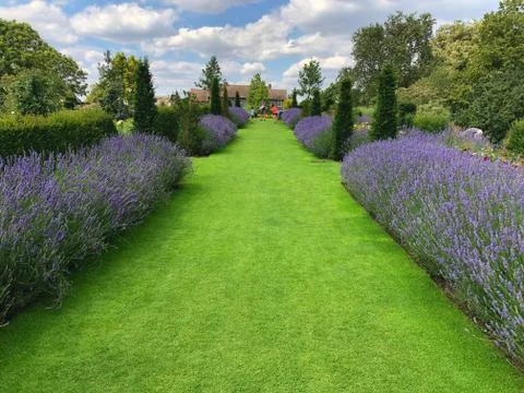 Symmetric view of grass path with topiary. Stock Photos